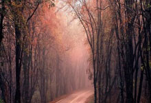 开云棋牌平台-圣西罗今夜无眠！当奥运圣火遇见蓝黑信仰