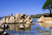 开云棋牌APP-德国乒乓球队翻盘韩国神话，奥恰洛夫惊艳世界的辉煌瞬间