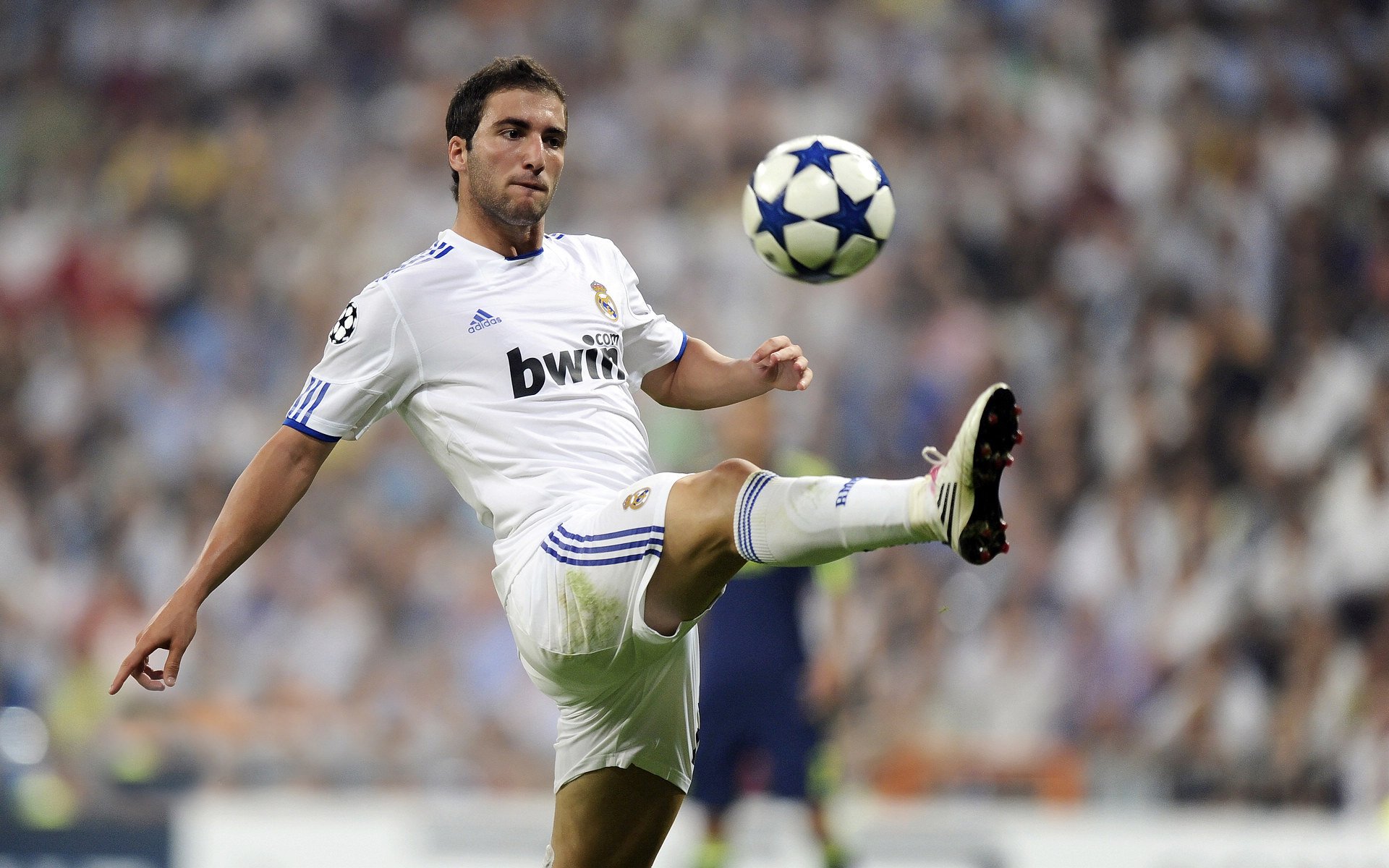 文班亚马，太阳与老鹰之间的天体主宰者